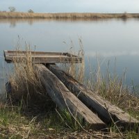 For meditation... :: Александр Букин