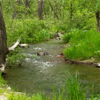 Бегущая вода :: Антон Ткачев