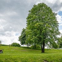 relax :: Дмитрий Карышев