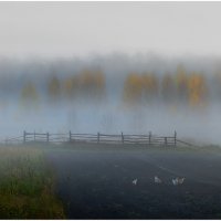 Туманное утро,в деревне :: Евгений Нелихов