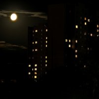 лунная ночь :: Дмитрий Есенков