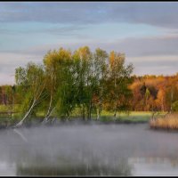 Утро на реке :: Сергей Шабуневич