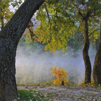 Утро туманное :: Евгений Леоненко