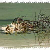 мёртвое море :: gennadi ren