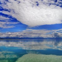 Тайные сокровища ледникового озера :: tamara *****