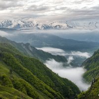 Грузия в мае :: Иван Евгеньев