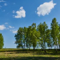 весна :: Николай Мальцев