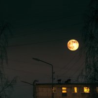 луна :: Ольга Жижманова 