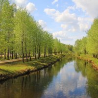 В городском парке :: Галина Новинская