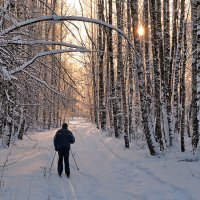 Рассветная прогулка :: Николай Белавин