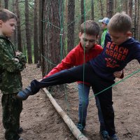 сквозь "паутинку" :: Татьяна Гузева