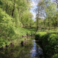 Климовский пейзаж :: Владимир Холодницкий