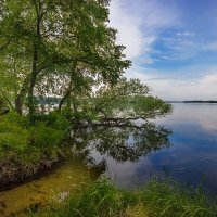 Цветущий май - предвестник лета. :: Павел Тодоров