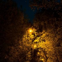Sofrino In The Night :: KotoPalych Gf