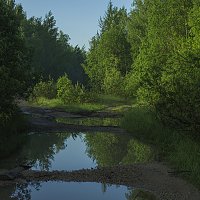 после ливня :: Яков Реймер