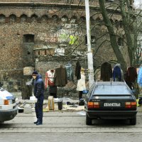 Блошка под стенами форта Врангель :: Андрей Николаевич Незнанов