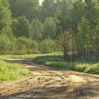 Въезжаем... :: Владимир Гилясев