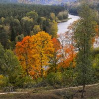 Осень :: Людвикас Масюлис