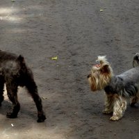 Не уходи, побудь со мною, Здесь так отрадно, так светло. :: ВАЛЕРИЙ 