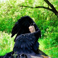 черная птица :: Наталья Бочкарева