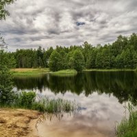 Лесное озеро :: Андрей Дворников
