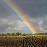 Радуга :: Роман Бабаев