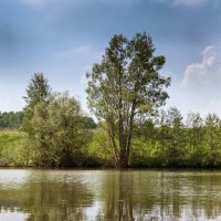 В окрестностях Уфы :: Виктор Куприянов 