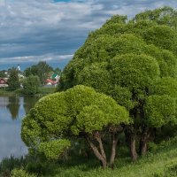 краски июня :: Сергей Цветков