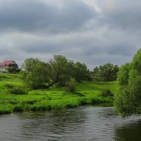 Июнь... :: Галина Кучерина