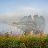 Легкий туман :: Валерий Талашов