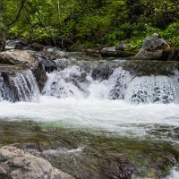 речка в лесу :: Наталья Литвинчук