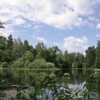 Лопандино :: Владимир Холодницкий