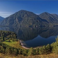 Altai. Teletskoye Lake. Cordon Chiri. :: Любовь 