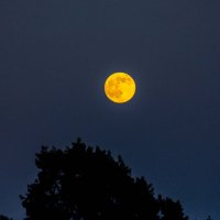 The moon :: Богдан Кириллов