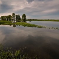 Половодье :: Виктор Четошников