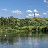 Озеро и лебеди :: Игорь Сикорский