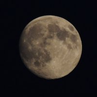 Луна 18.06.16 :: Николай ntv