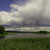 Скоро гроза грянет... :: Николай Дони