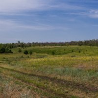 Проселочная дорога... :: Александр Малышев