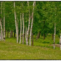 В городском парке :: Alexander Antonov