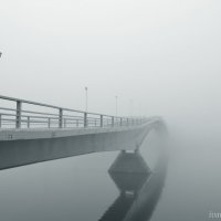 Туман :: виктория иванова
