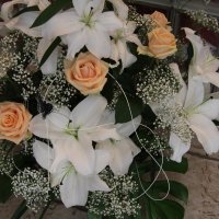 lilija i rozi :: Valerija Bilotiene