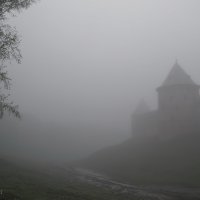 Туман :: виктория иванова