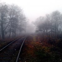 Туман... :: Анна Кравченко