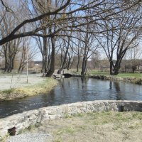 В парке замка Радомысль :: Анна Бойнегри