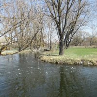 В парке замка Радомысль :: Анна Бойнегри