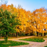 Осень :: Антон Лопуховский