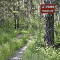 А я дурак думал что уже лето, не получилось, всё испортили, теперь хожу лёд проверяю. :: Владимир Терехов