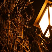 street, lamp, farmacy :: Vladimir Sukhov