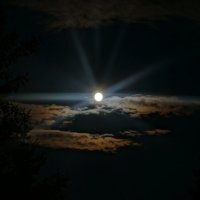 луна :: Alexandr Staroverov